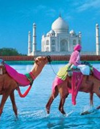 Neelam Exotic Indian Cuisine